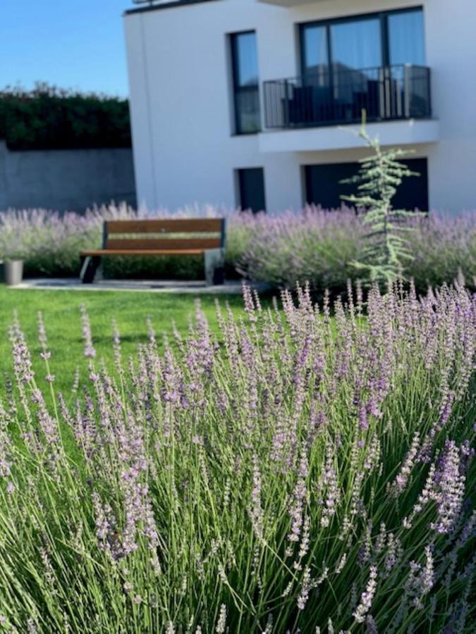 Paskom Apartmanhaz Nyergesujfalu Eksteriør billede